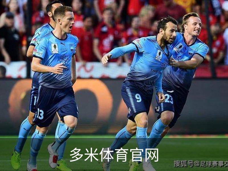 关于多米体育官网